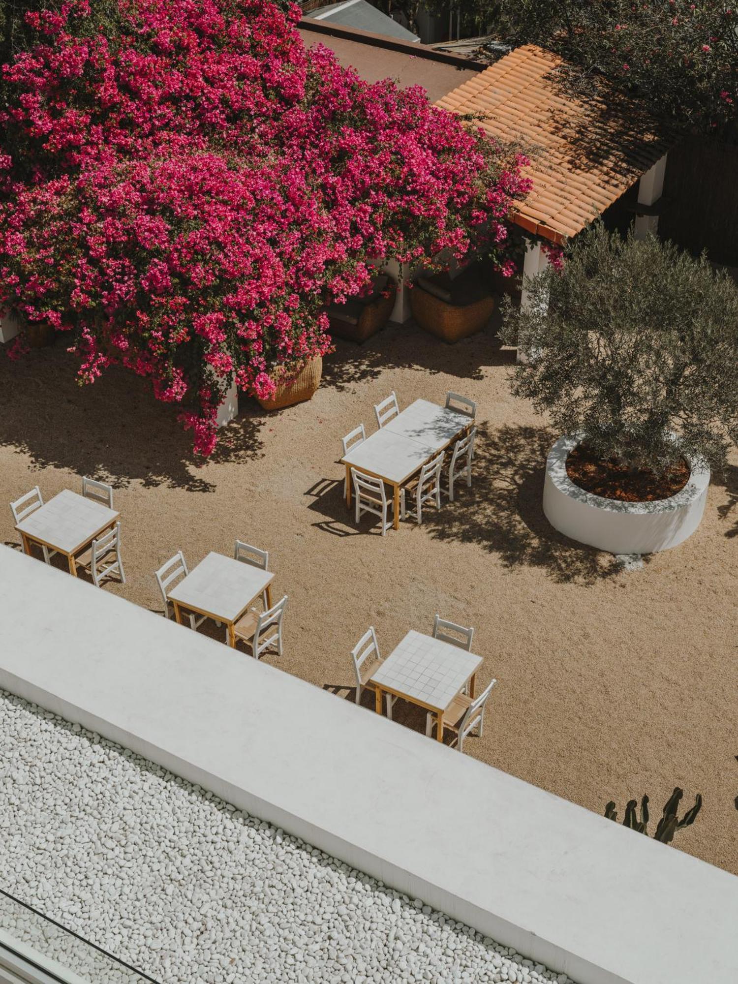 Es Cana Ibara Ibiza Hotel Boutique מראה חיצוני תמונה